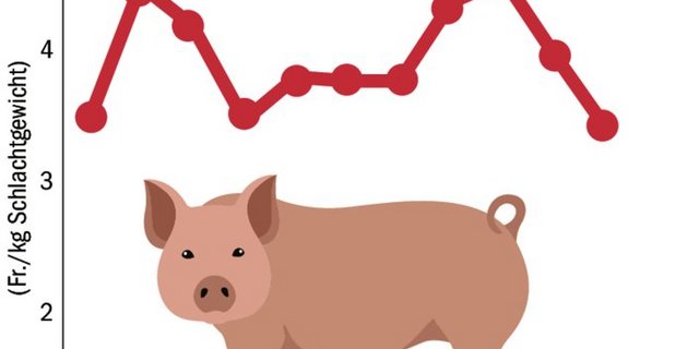 Auch 2021 war kein rosiges Schweinejahr. Da betrug der Durchschnittspreis aber noch Fr. 3.94/kg SG.