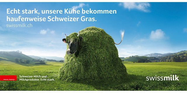 Die Sujets der neuen Werbekampagne für Schweizer Milch: Lovely bekommt etwa haufenweise Gras... (Bilder Swissmilk) 