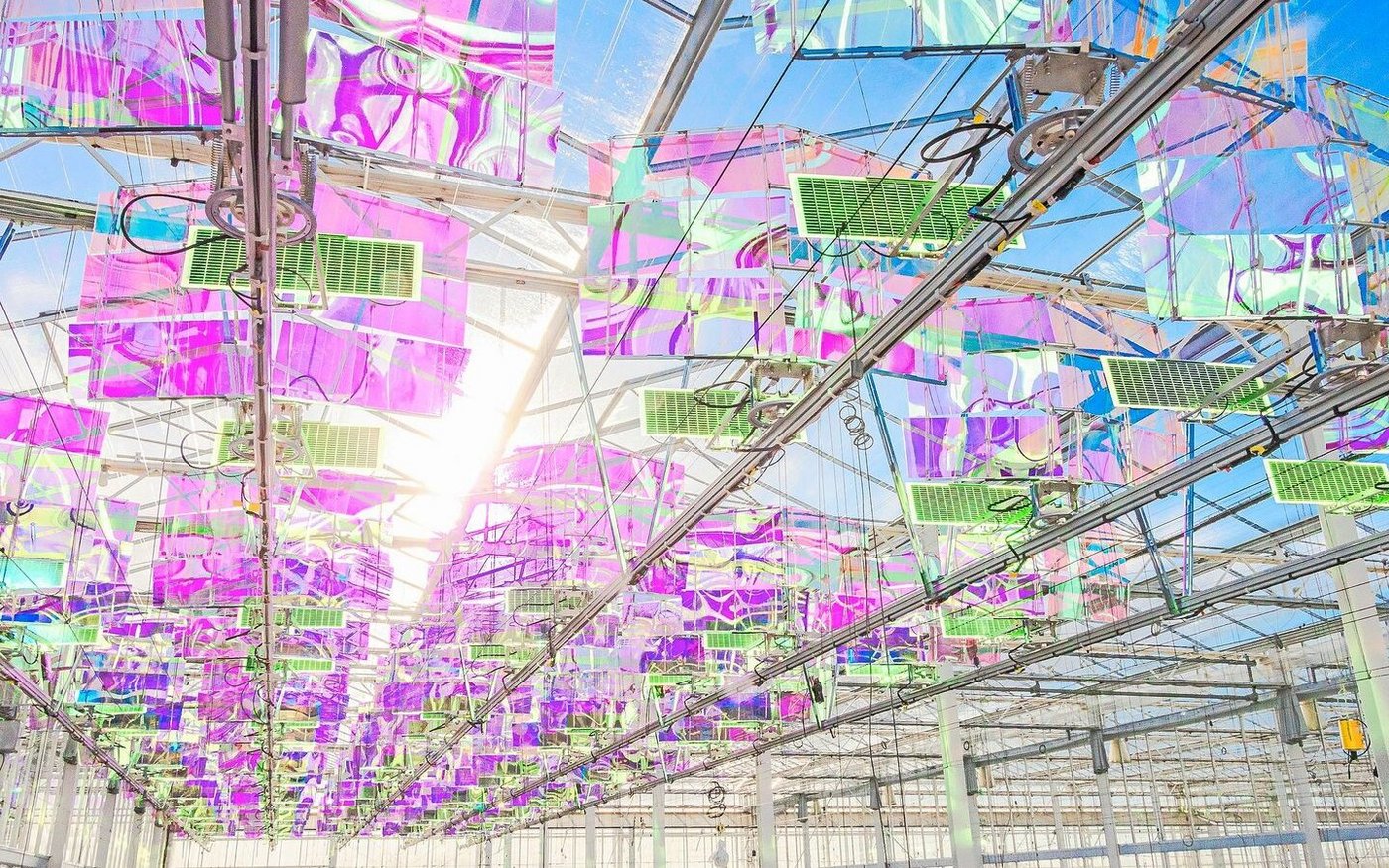 Kein Kunstwerk in einem Museum, sondern eine Hightechanlage zur Stromproduktion unter dem Dach in Gewächshäusern: Das Licht wird gefiltert, gebündelt und zu den vertikalen Solarmodulen geleitet. Die Pflanzenproduktion darunter wird nicht beeinträchtigt.  