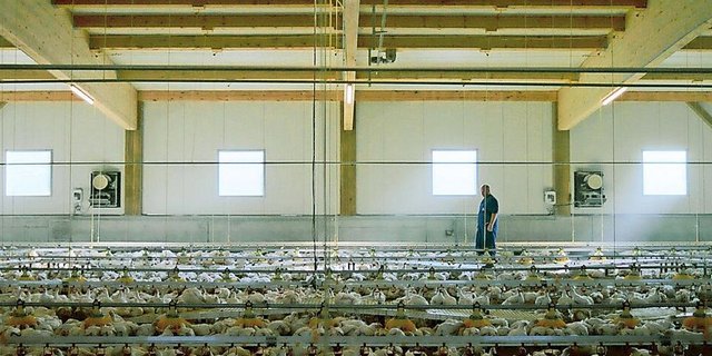 Beim Produzenten die Realität abbilden und die Bauernfamilien erzählen lassen. So wird heute für Schweizer Fleisch geworben. 