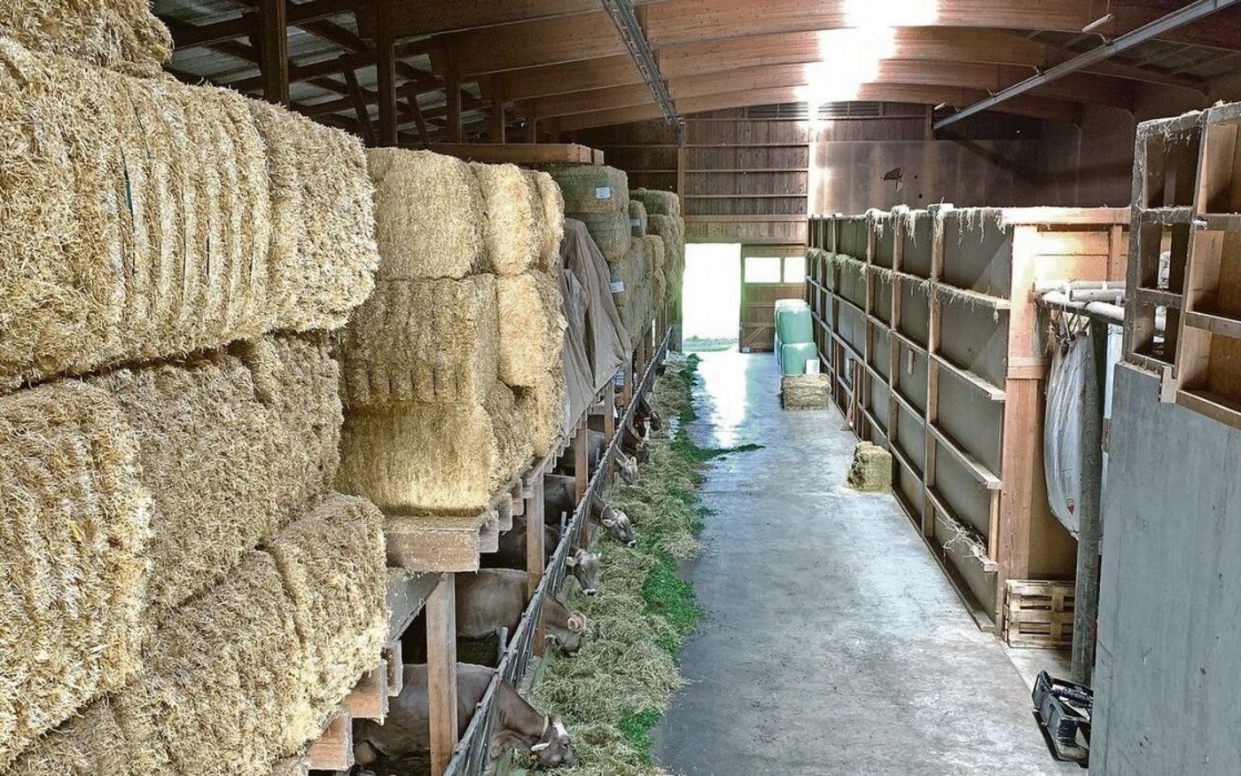 Blick in die lange Scheune mit Silos und Heuraum rechts. Die Fressachse kann per Kran bedient werden. 