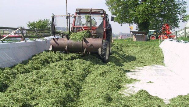 Durch das Walzen werden die Luftmengen im Schnittgut reduziert. So wird schnell ein anearober Zustand geschaffen, der Hefebildung und Nacherwärmung vermindert. (Bild Willi Gut, LBBZ Cham)