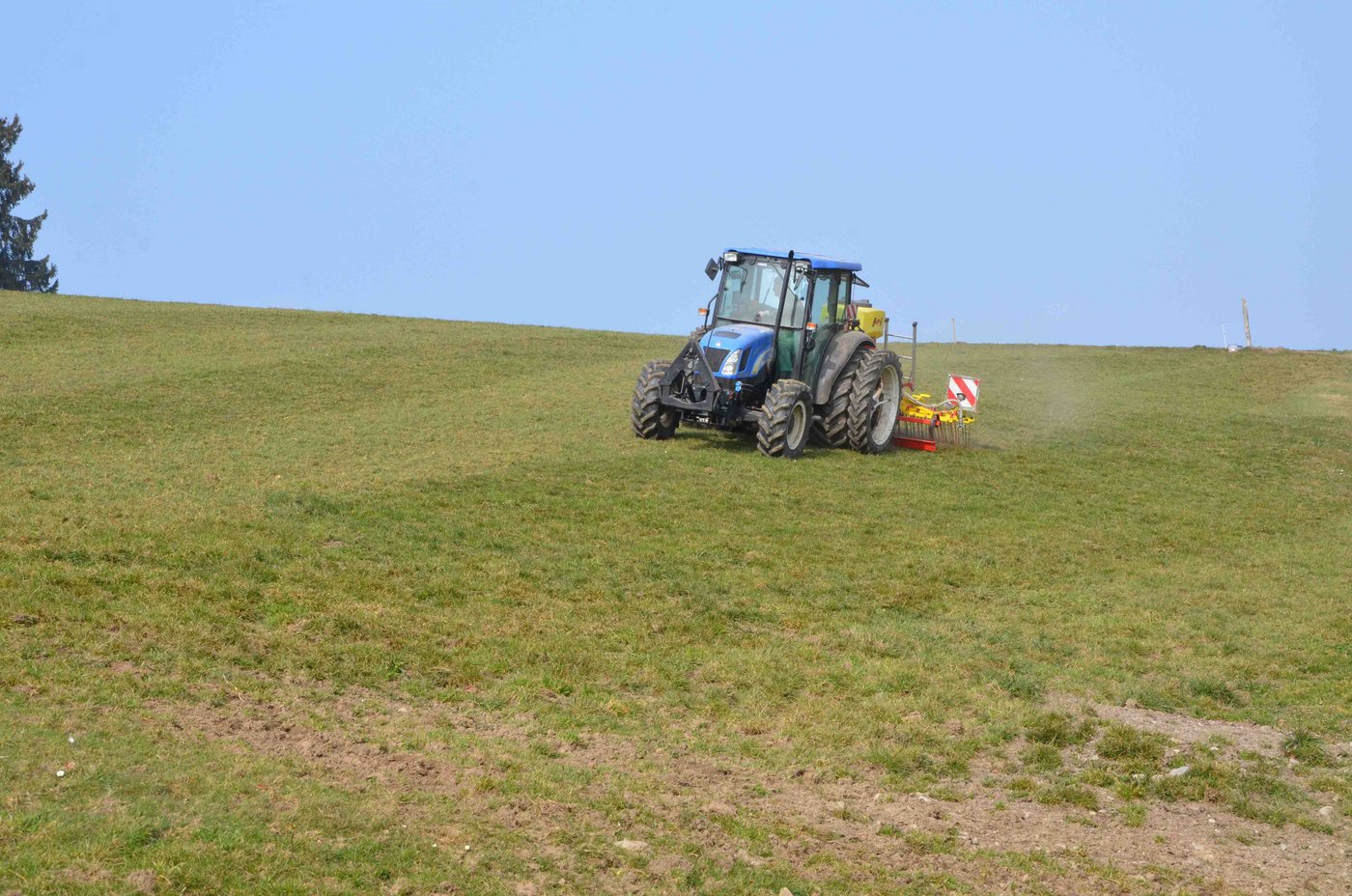 Gute Bedingungen diesen Frühling für Übersaaten im Futterbau.  (Symbolbild Aline Küenzi)