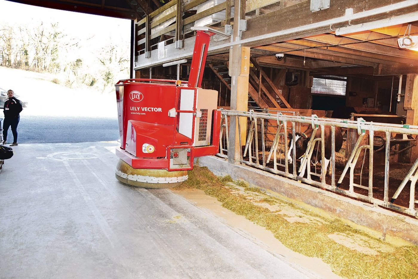 Nach dem Beladen in der Futterküche fährt der Roboter selbstständig zur Futterachse. Dort leert er der Achse entlang die Mischung. Immer die gleiche Menge bei jedem Futterplatz.(Bilder Peter Fankhauser)
