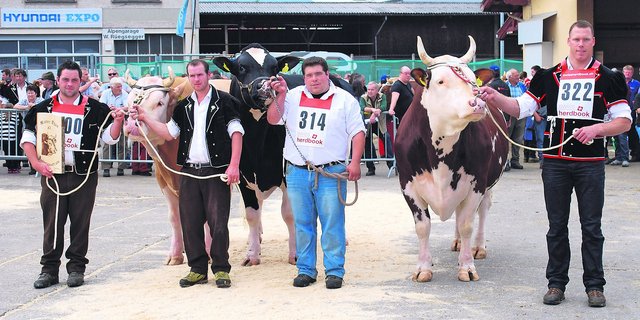 Schwingerkönig Matthias Sempach (rechts) musste Abschied von seinem geliebten Siegermuni nehmen. Nach einem Zwischenfall, bei dem eine Person verletzt wurde, gehe nun die Sicherheit vor, sagte er.. (Archivbild Peter Fankhauser)