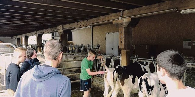 Lernen am lebenden Tier: Gelegentlich gibt es Kritik, die Tierhaltung werde in der Grundbildung zu stark gewichtet, Themen wie Klimawandel kämen hingegen zu kurz. An den Berufsbildungszentren ist man anderer Meinung.