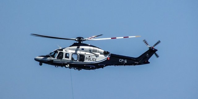 Die Gendarmerie spürt im Hubschrauber mit Wärmebildkameras Wildschweine auf. (Bild Pixabay)