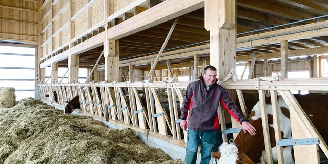 Willy Helfenstein im weitgehend hölzernen Stall. Das selbst gefertigte Fressgitter aus Eschenholz lässt sich zentral auslösen. (Bilder js)