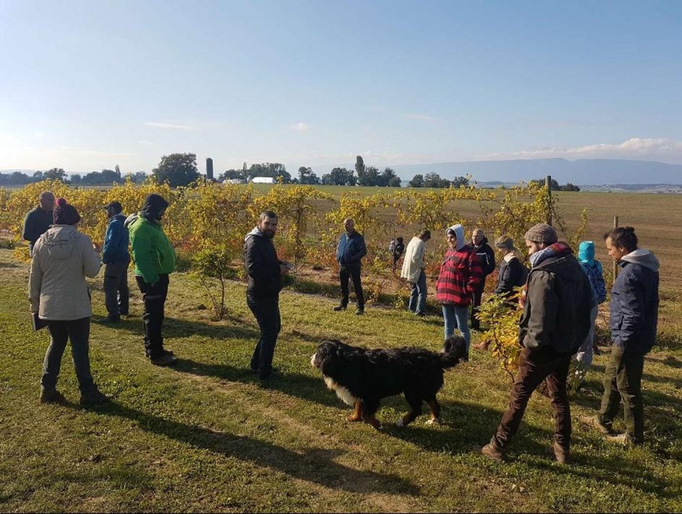 Im Rahmen des Projekts wurden auch Kurse durchgeführt. Hier ein Bild einer Veranstaltung zum Thema Agroforst. (Bild Bio Freiburg)