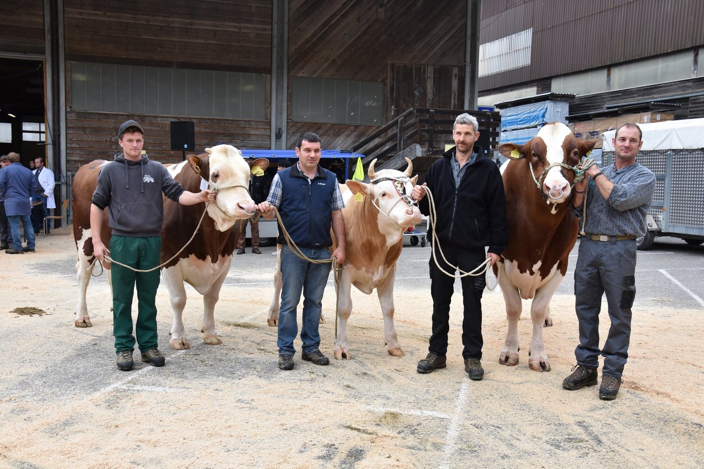 Am Stierenmarkt in Langnau standen am Schluss tolle Stiere auf dem Podest.