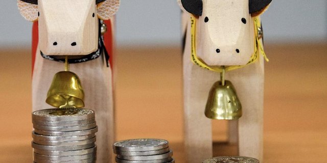 Die Beratungen zeigten, dass die Auswirkungen von grossen Investitionen auf die Altersvorsorge vielen Betriebsleiterinnen und Betriebsleiter nicht bewusst ist. (Bild hja)