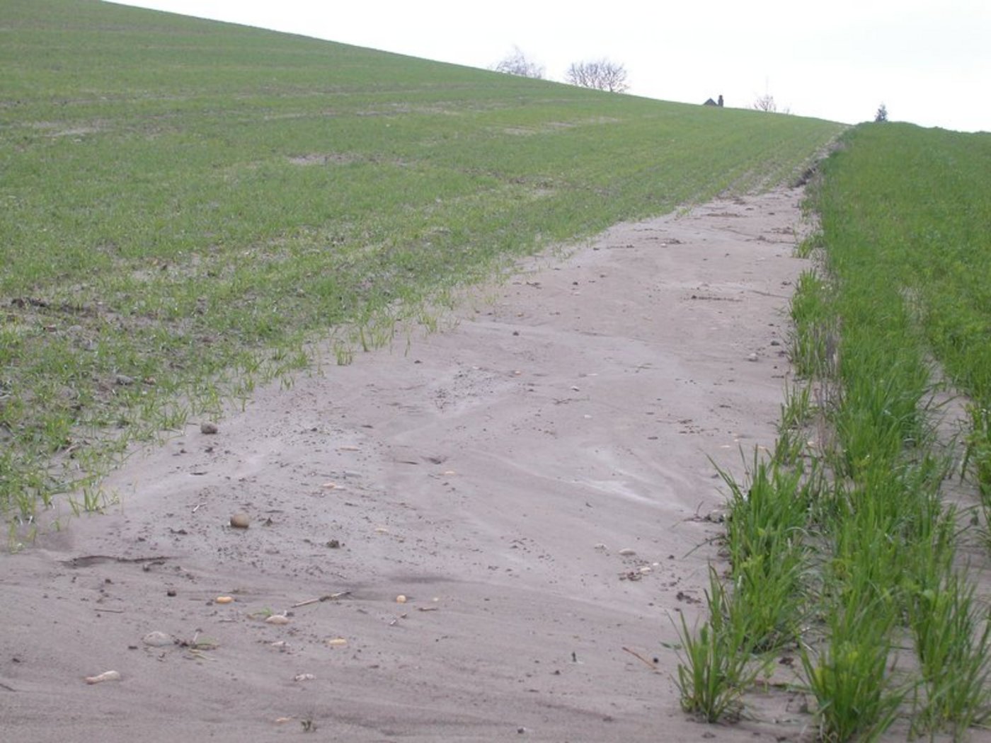 Einer der im Jahr 2020 kontrollierten Bereiche ist der Erosionsschutz. (Bild BauZ)
