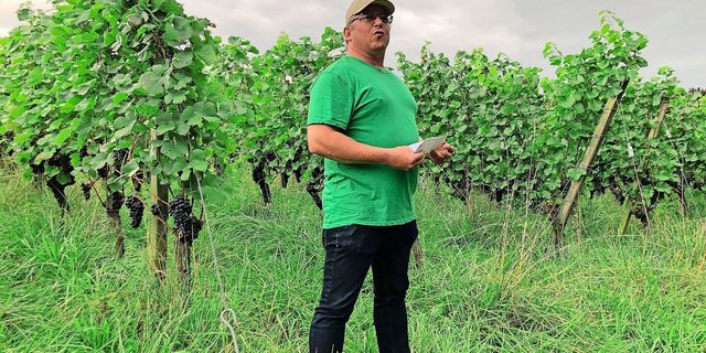 Der Winzer Urs Rinklin gab im Weinberg Einblicke in seinen Arbeitsalltag nahe der Landesgrenze und darüber hinaus. Bei der Reifung der Trauben will er möglichst wenig eingreifen.  