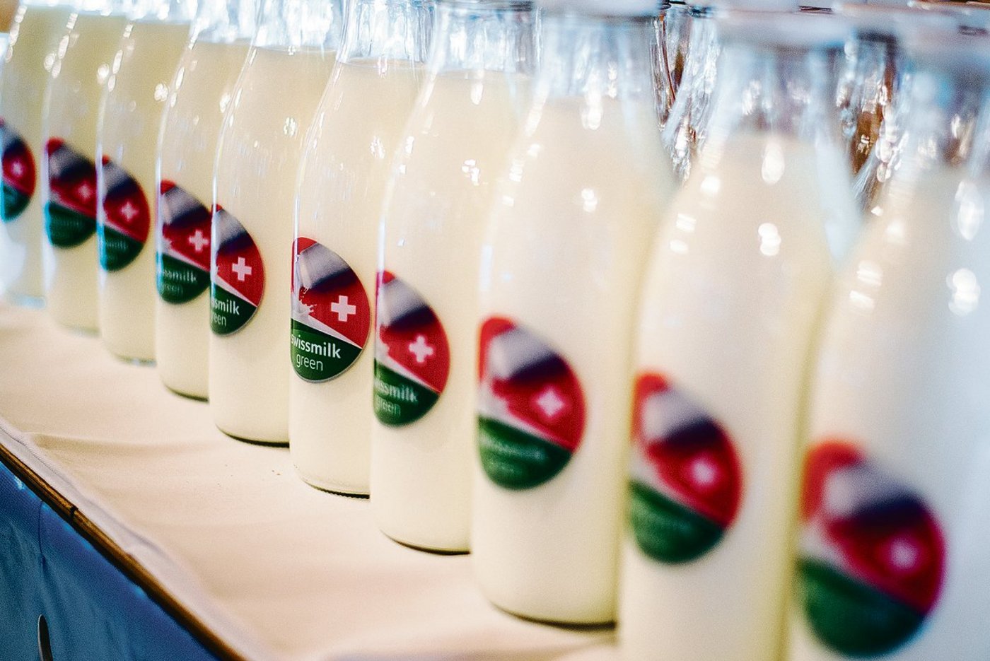 Pünktlich zur Lancierung stehen sie parat: die Milchflaschen mit dem Logo des Grünen Teppichs darauf.(Bild hja)