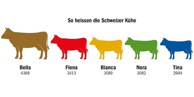 Bella ist in der Schweiz der beliebteste Name für weibliche Rinder. 4388 Kühe (Stichdatum: 31. März 2021) hören auf diesen Namen. Auf Rang 2 folgt Fiona. (Grafik dr/Quelle LID)