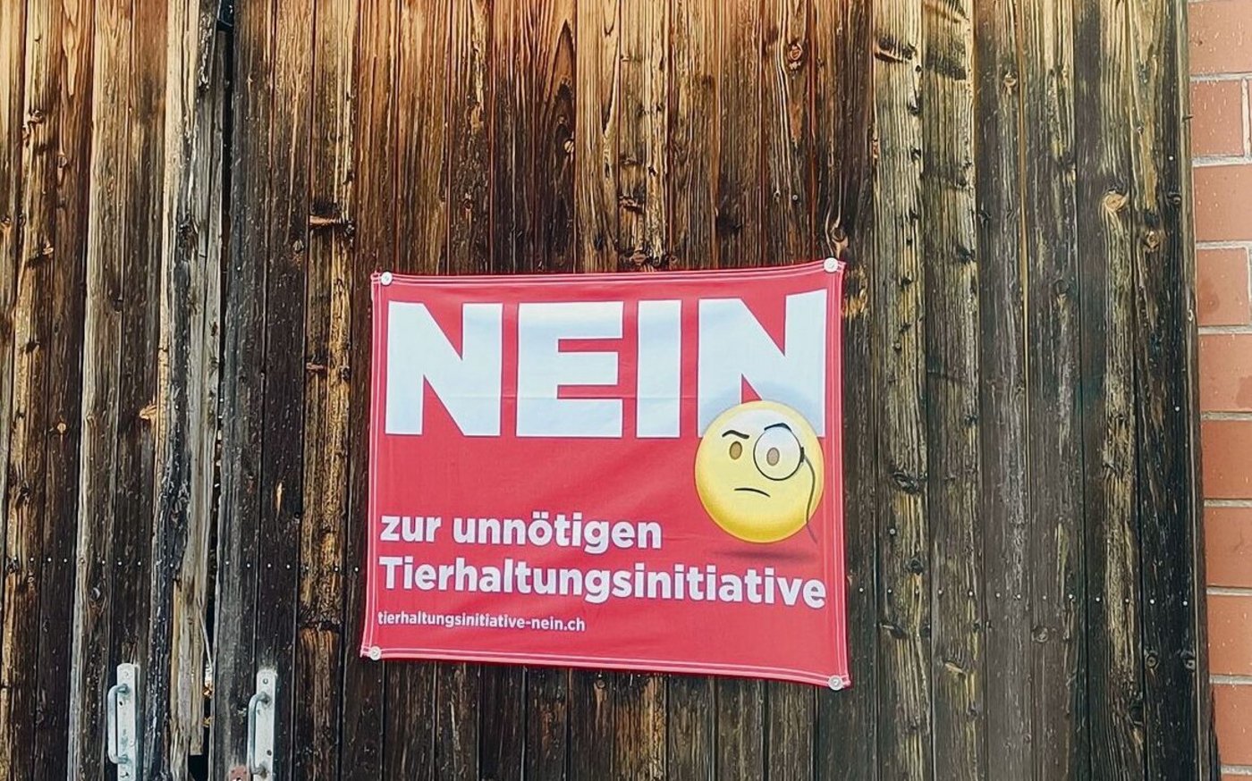 Solche Fahnen sollen im Kanton Luzern nicht zulässig sein, wenn sie länger als sechs Wochen vor einer Abstimmung hängen.