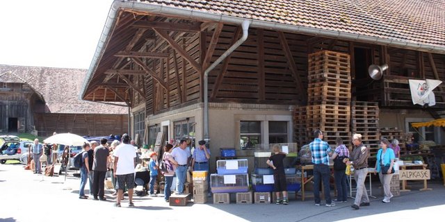 Auf dem Buuremärit auf dem Schwand trifft die Stadtbevölkerung auf das Land. (Bild: sb)