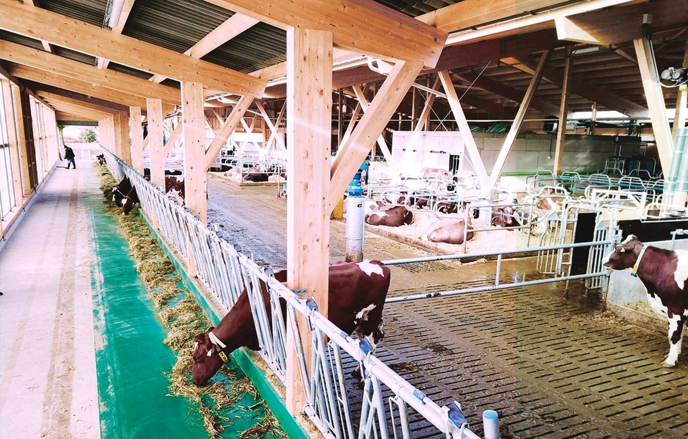 Der neue Kuhstall wurde 2019 eingeweiht: Kostenpunkt über vier Millionen Franken. (Bild Rütti)