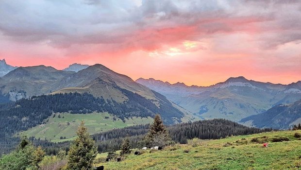 Der Herbst hält Einzug, die Sonne kommt morgens immer später –  dafür kommt das Alpteam in den Genuss eines prächtigen Morgenrots. 