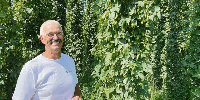 Landwirt, Hopfenproduzent und Präsident der Genossenschaft für Schweizer Hopfen Stefan Ulrich im August vor einer seiner Hopfenparzellen in Unterstammheim ZH. Die Stauden wachsen innert vier Monaten auf rund sieben Meter Höhe an. 