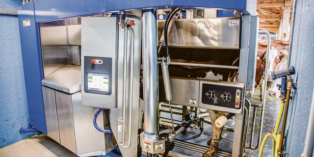 Insgesamt dürften 2020  gegen 300 neue automatische Melksysteme verkauft worden sein, damit nähert man sich bereits der 10-Prozent-Grenze an.