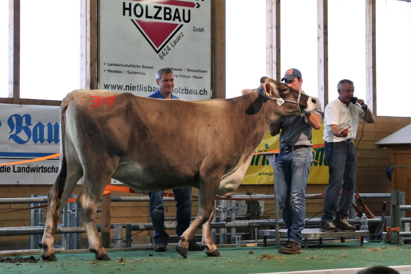 Das Braunviehrind Vendetta von Roberto Ponzio aus S. Antonino war mit 7‘600.- Franken das teuerste Tier an der Braunvieh Eliteauktion in Rothenthurm. (Bilder Reto Betschart)