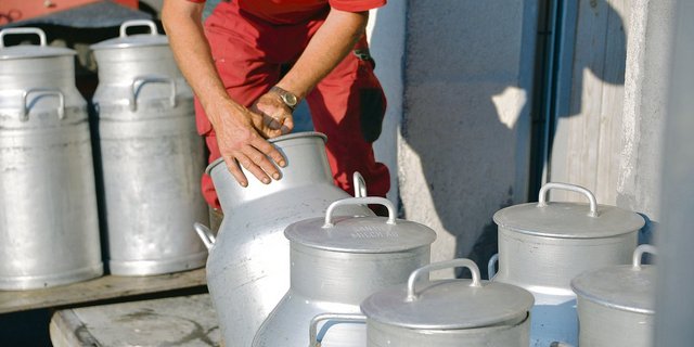 Mit der Aufhebung der Milchkontingentierung vor zehn Jahren erhielten die Produzenten nach 32 Jahren staatlicher Mengensteuerung wieder mehr Freiheiten. Doch der Milchmarkt verzeiht keine Fehler(Bild hja)