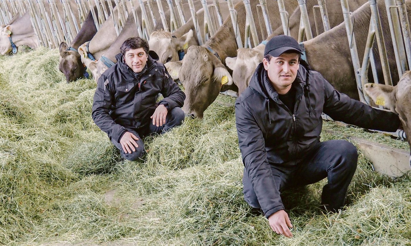 Ilja Devnozashvili (links) und Giorgi Aslamazashvili arbeiten am Plantahof. Die beiden Georgier bereiten sich auf ihre Aufgaben als Angestellte des Gutsbetriebs der Swiss Agricultural School Caucasus vor.(Bild Christian Weber)