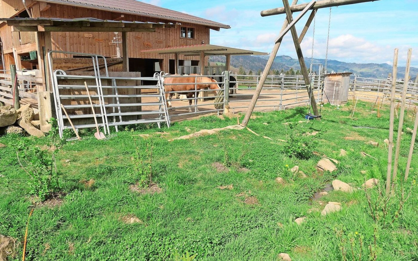 Freys haben in vielen Arbeitsstunden den Bach renaturiert, der mitten durch den Hof fliesst. 