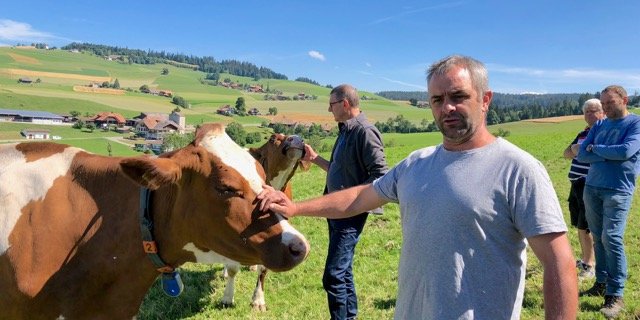 Hanspeter Käser aus Biglen BE stellte seine Herde der IG Neue Schweizer Kuh vor. (Bilder Jasmine Baumann)