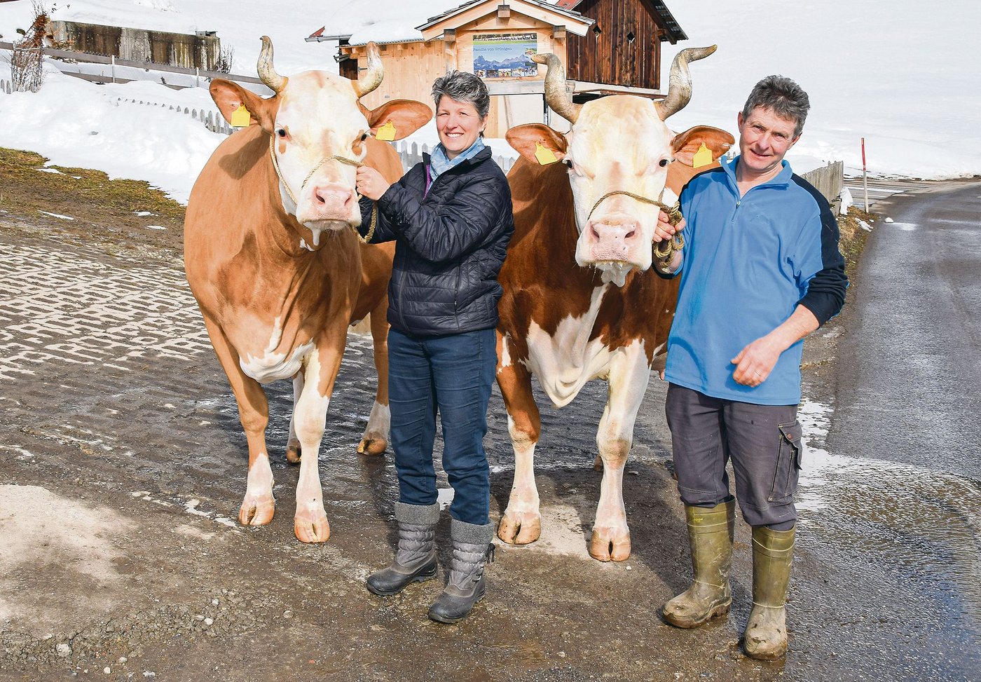 Anita und Johann von Grünigen mit zwei ihrer Top-Kühe: Achill Torina (links) stammt von der legendären Omega ab und rechts die zwölfjährige Silvan Kenia. (Bilder Peter Fankhauser)