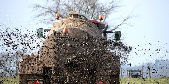 Gülle ist ein guter Dünger, aber der Umgang damit ist besonders wegen austretender Gase gefährlich. (Bild Pixabay)