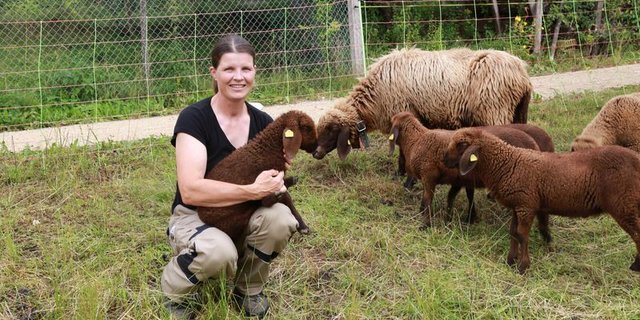 Yvonne und Benedikt Hossli halten eine Herde Engadinerschafe. Die Tiere bekommen ausschliesslich Gras und Heu, das Fleisch wird direktvermarktet. (Bilder ly) 