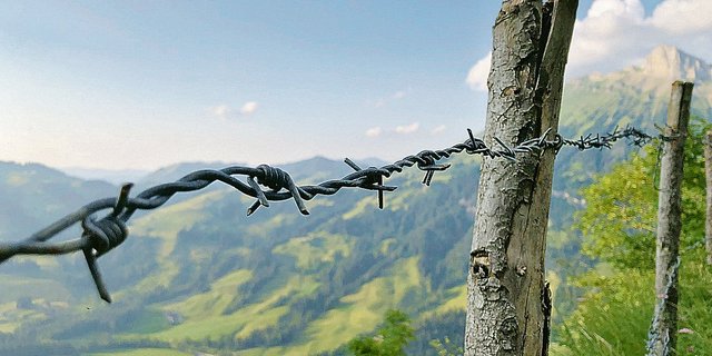 Im Kanton Bern gibts für Zäune mit Holzpfählen Geld. Auch wenn sie mit Stacheldraht versehen sind. (Bild zVg)