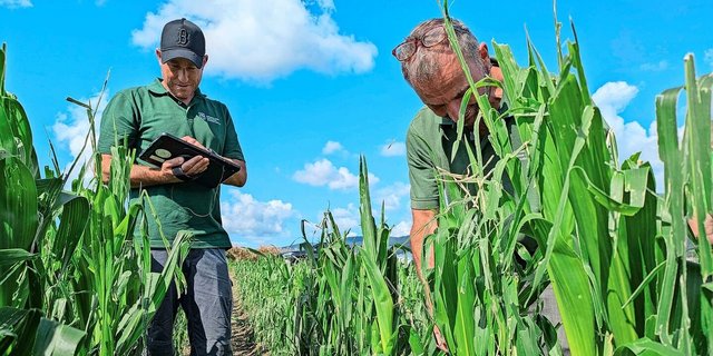 Ein Ernteverlust ist emotional belastend. Darum brauchen die Expertinnen und Experten bei der Beurteilung des Schadens Fingerspitzengefühl.