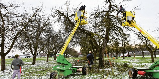 Die Baumschnittgruppe der Mosterei Ramseier Aachtal AG aus Oberaach macht in Altnau am Bodensee Station. (Bilder Urs Oskar Keller)