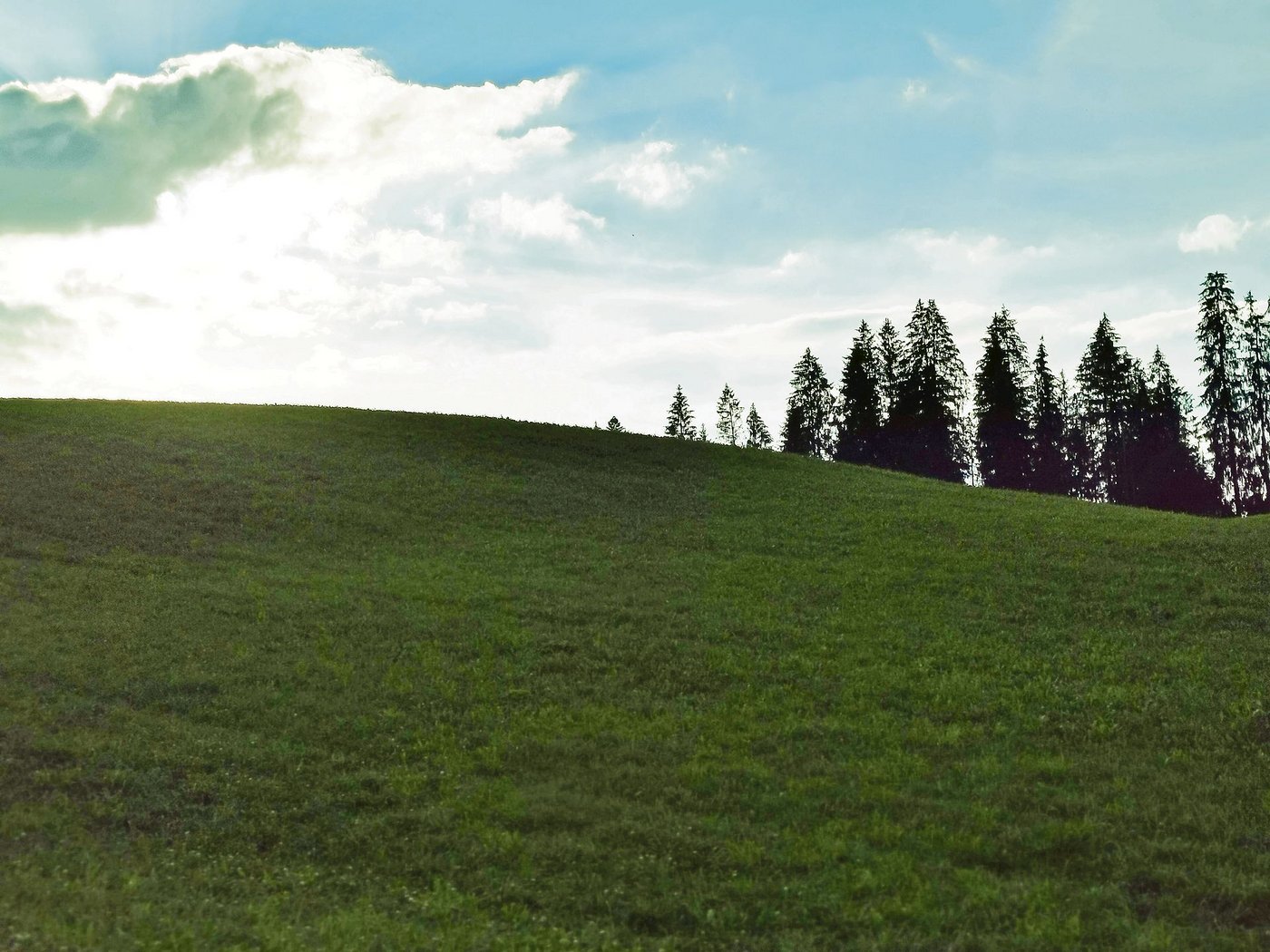 Düstere Ausgangslage: Ein Wiederansiedlungsprojekt scheint in den Amtsstuben «besser anzukommen» als ein Vorhaben der produzierenden Landwirtschaft. (Bild sb)
