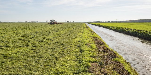 Sind sauberes Trinkwasser und intensive Landwirtschaft miteinander vereinbar? Vertreter beider Parteien diskutieren in Solothurn. (Symbolbild iStock)