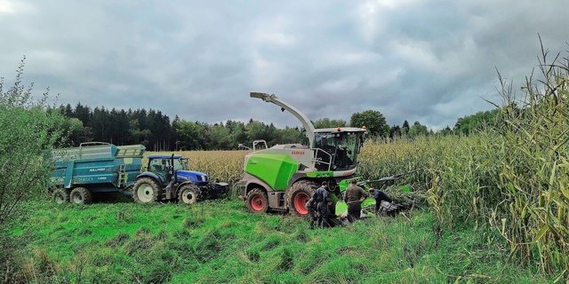 Nach einer herausfordernden Saison startete vor Kurzem die Maisernte. Dabei liessen sich Lena Junker und ihr Team auch von einer Panne nicht bremsen.