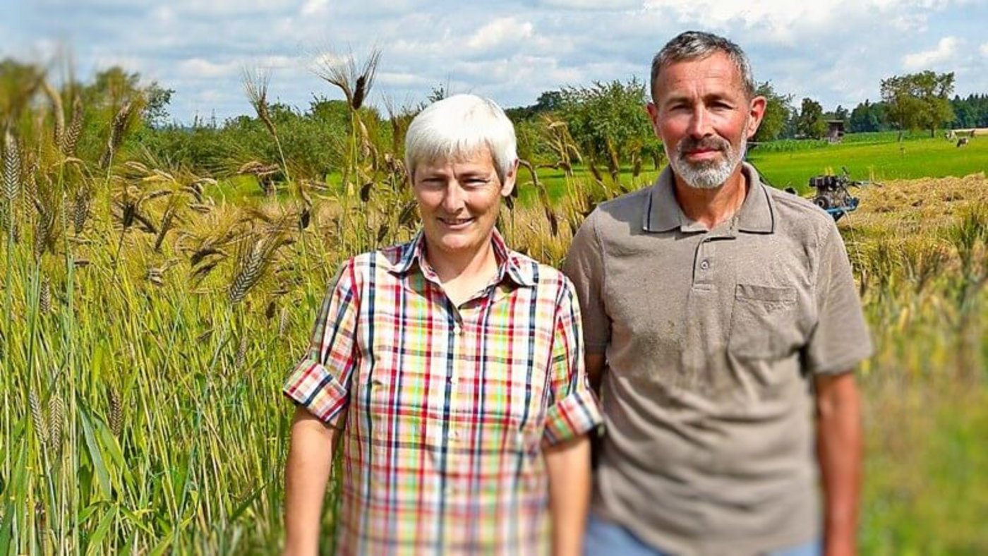 Der Betrieb Steinbüllen wird in der dritten Generation von Claudia und Ruedi Künzi-Schnyder bewirtschaftet. Betriebszweige sind: Milchwirtschaft, Futter- und wenig Ackerbau. (Bild getreidedeko.ch)