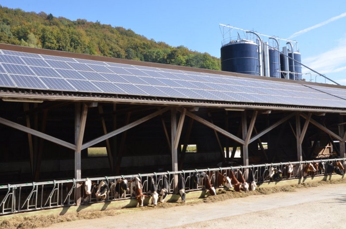 Je stärker geneigt das Dach ist, desto effektiver kann der Regen Staub und anderen Schmutz abwaschen. (Bild BauZ)
