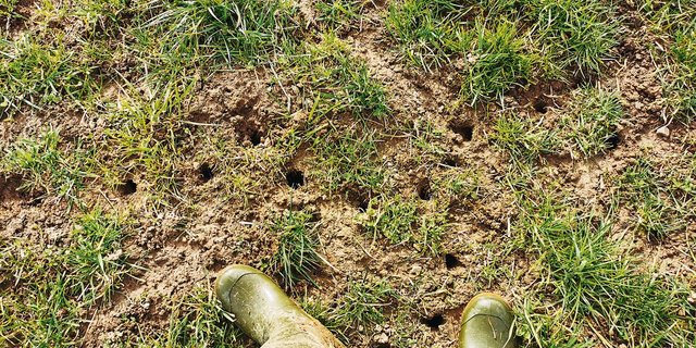 Und jetzt? Es wird empfohlen, bei der Bekämpfung von Mäusen auf den Rodenator zu verzichten. Die Rechtslage ist unklar.(Bild Dominik Amrein, BBZN Hohenrain)