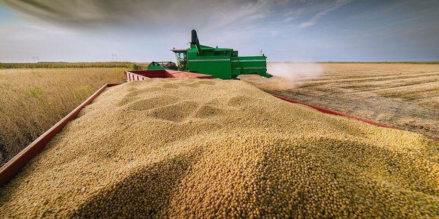 Die Prognosen zur diesjährigen Sojaernte werden derzeit nach unten korrigiert, was die hohen Preise stützt. Aber GVO-freies Soja sei preislich wegen sinkender Nachfrage unter Druck.