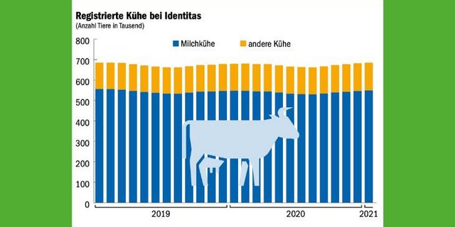 In der Schweiz gibt es wieder fast so viele Kühe, wie es 2019 der Fall war. (Grafik mi/Quelle Identitas AG)