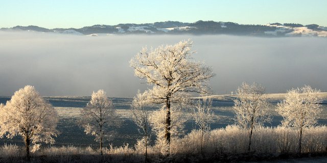 Auch wenn bei Familie Länzlinger nach Fionas Hirnschlag noch vieles im Unklaren, wie unter einer Nebeldecke versteckt ist: Sie und Fiona sind überzeugt, dass das Positive siegen wird. (Symbolbild Agnes Schneider Wermelinger)