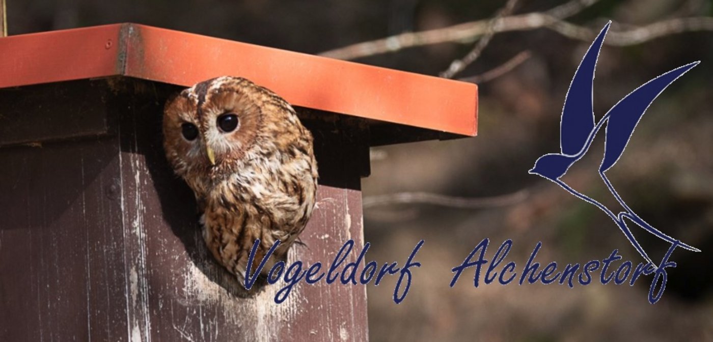 Vögel kann jeder fördern, sagt Andreas Aebi. (Bild Screenshot Vogeldorf.ch)