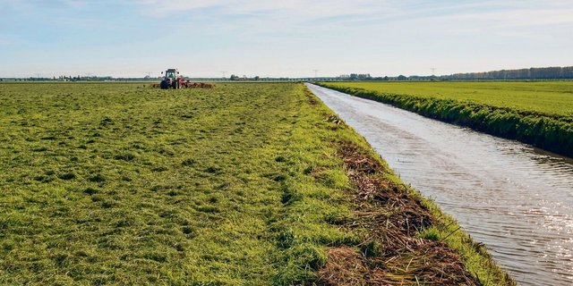 Werden Bäche und Flüsse revitalisiert, kommt es auf der angrenzenden Landwirtschaftsfläche zu Nutzungseinschränkungen und -verboten. Kompensationen werden nur für grosse Projekte gesprochen. 
