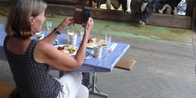 Das Schöne beim Brunch: Frühstücken mit Blick auf die fressenden Kühe. (Bild akr)