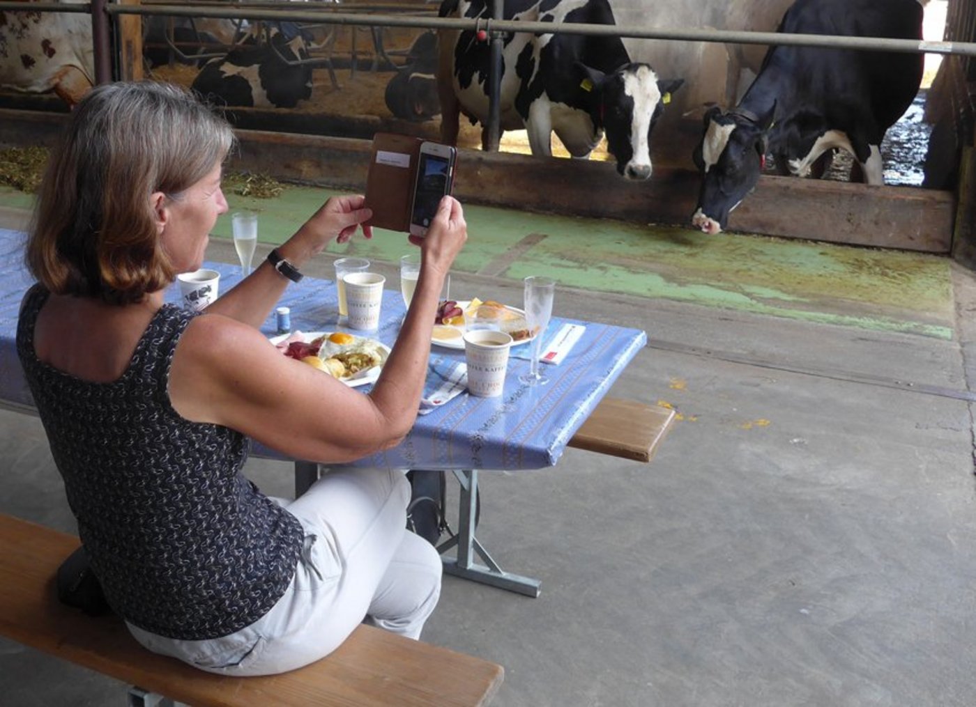 Das Schöne beim Brunch: Frühstücken mit Blick auf die fressenden Kühe. (Bild akr)