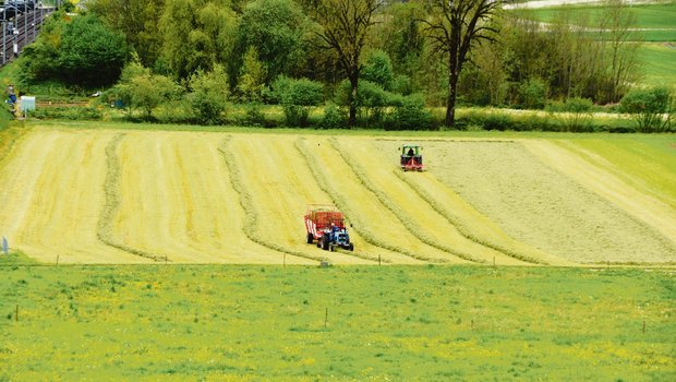 Im Talgebiet wurde schon eifrig einsiliert. Die Qualität hängt dabei von vielen Faktoren ab.(Bild BauZ)